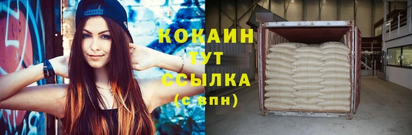 мдпв Бородино