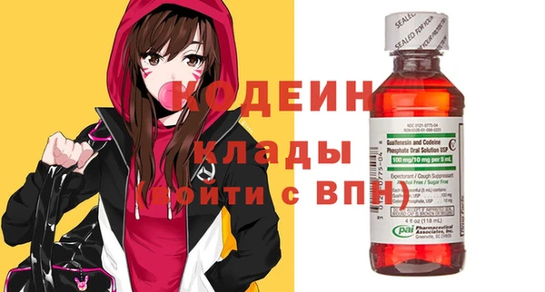 мдпв Бородино