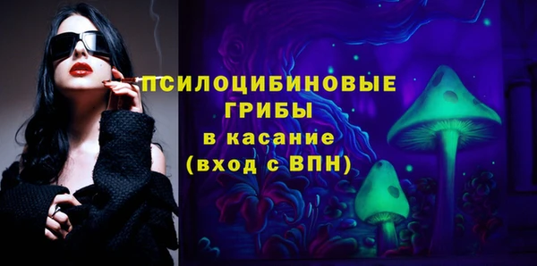 мдпв Бородино