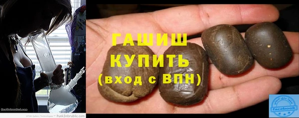 мдпв Бородино