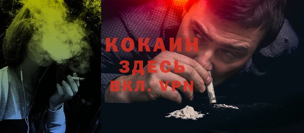 шишки Бронницы