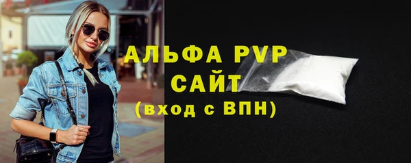 мдпв Бородино