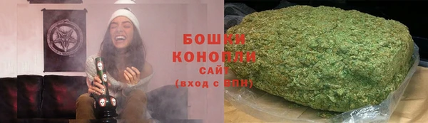 мдпв Бородино