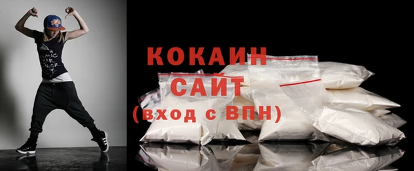 мдпв Бородино