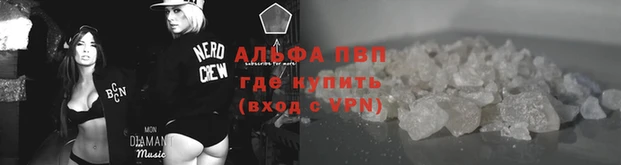 шишки Бронницы