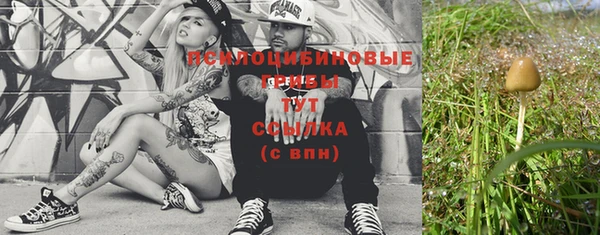шишки Бронницы