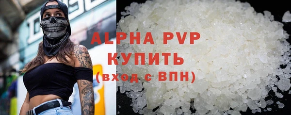 мдпв Бородино