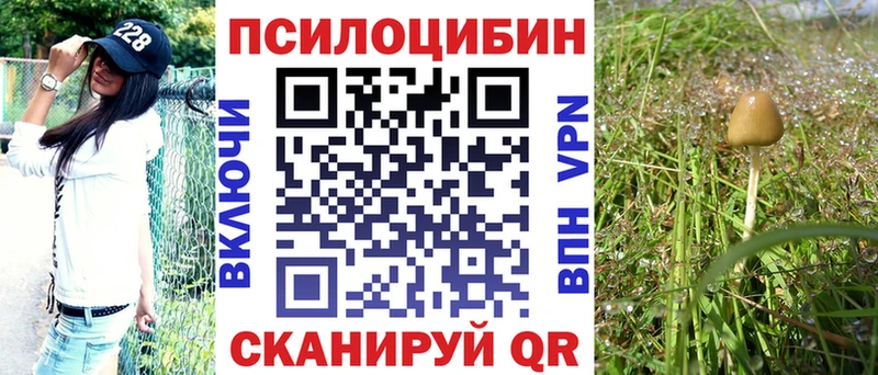 Галлюциногенные грибы мицелий  Можга 